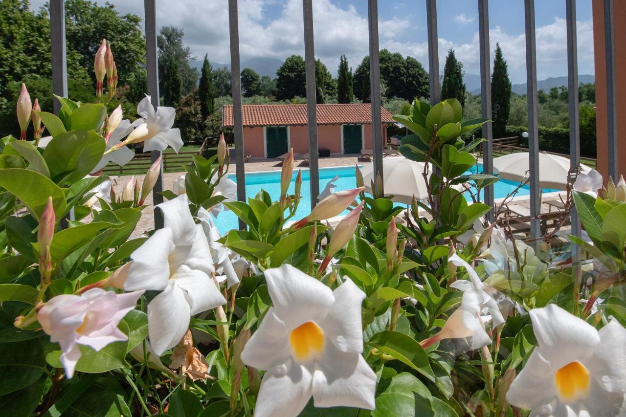 Relais Villa Isabel Pietrasanta Εξωτερικό φωτογραφία